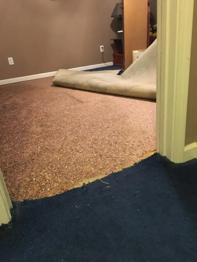 Carpet pad removal revealing water damage during Water Mitigation Services in Delran